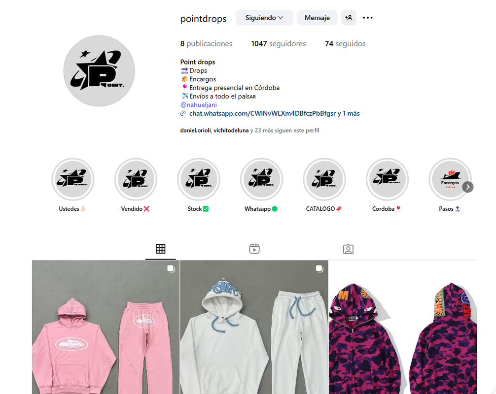 Vista previa feed Instagram