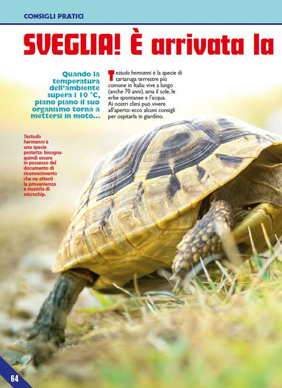 Foc Wil - Apr 2023 (9)