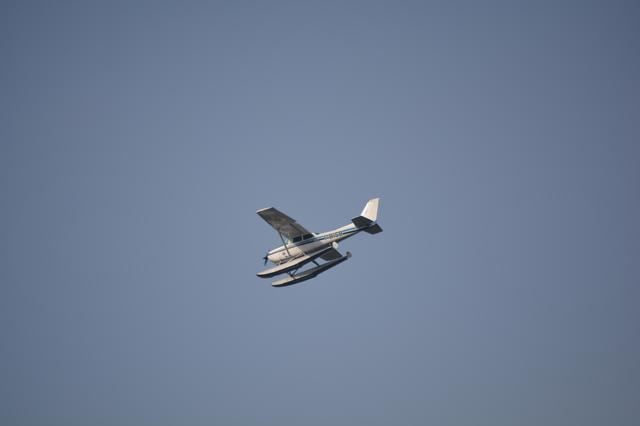 DSC_0578_6000x4000
