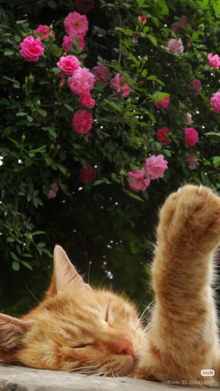 photo 4 2025 12 12 16 30 14