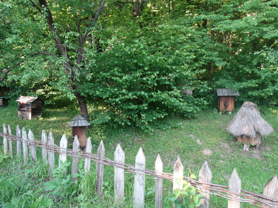 142b - DSC01388 (Milady)