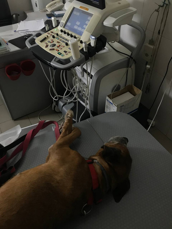 F17A286F-1CE9-47DD-8226-D22E9108A2CA