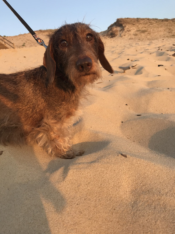 [Image: 0202-A0-D4-BF19-478-A-9-D08-B91-D45-BB37-D2.jpg]