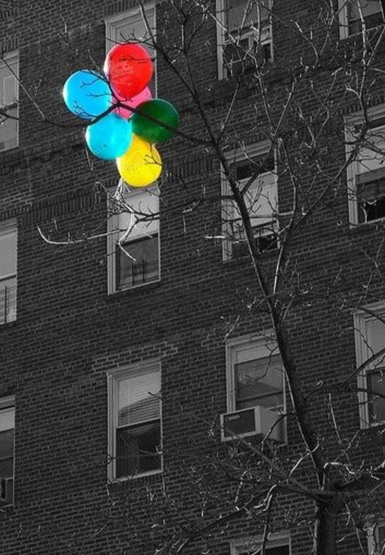 Screenshot_20230409_224831_Pinterest