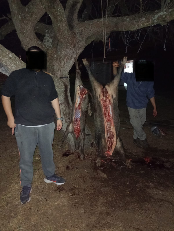 WhatsApp Image 2022-10-10 at 12.13.16