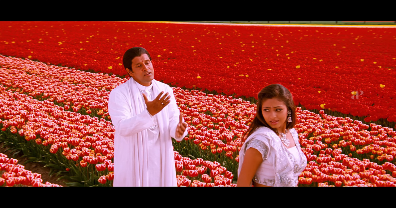 VideoCapture_20241122-195102