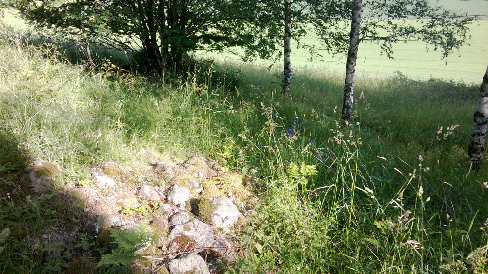 WP_20140628_004