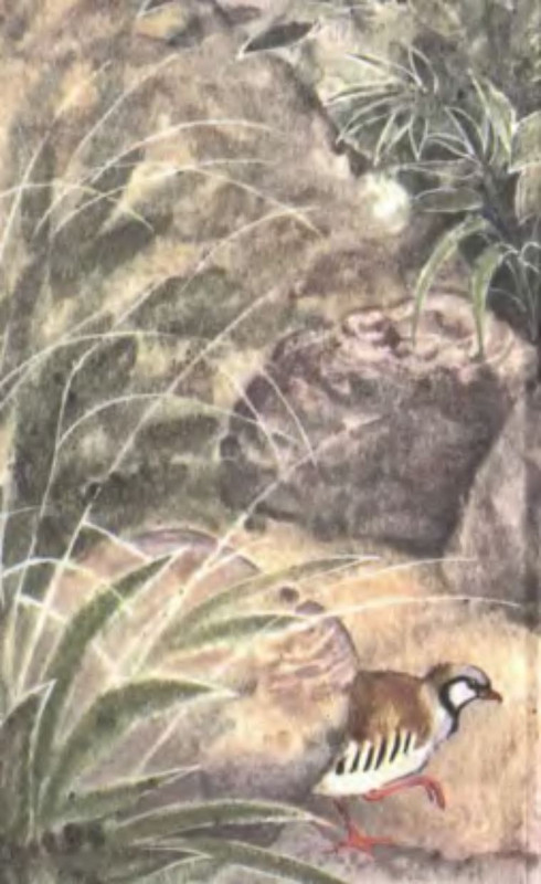 p0027