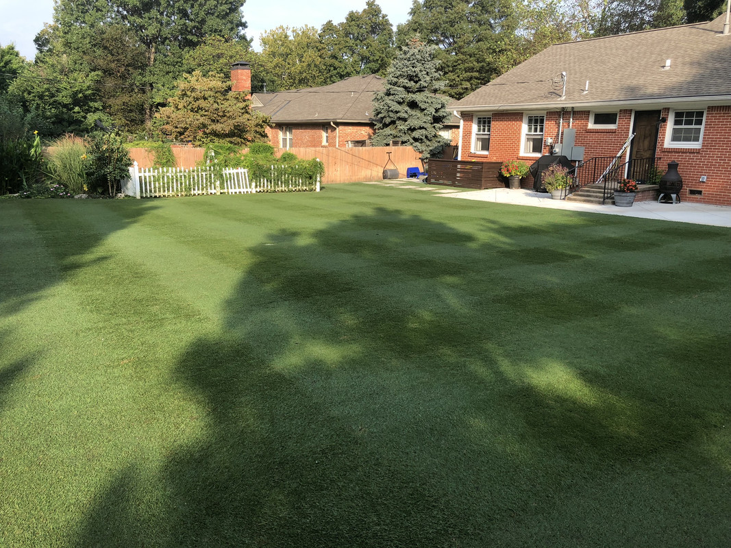 D304D5BA-5921-4811-B289-AED4F196FC70