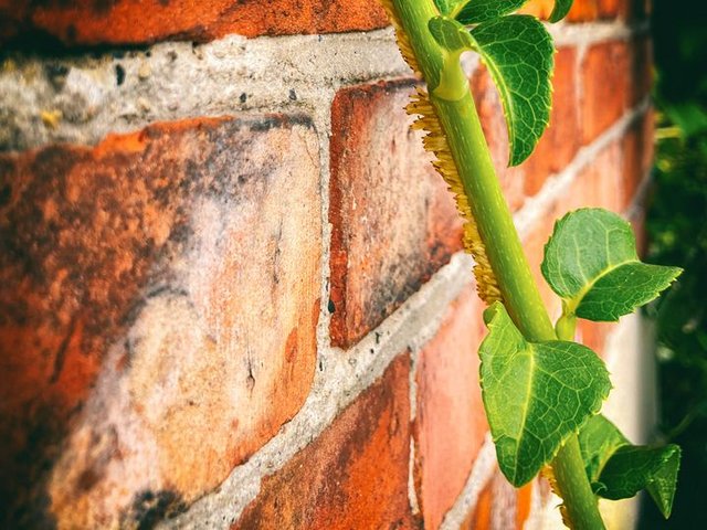 234894321-372711900879985-4620903835839258789-n