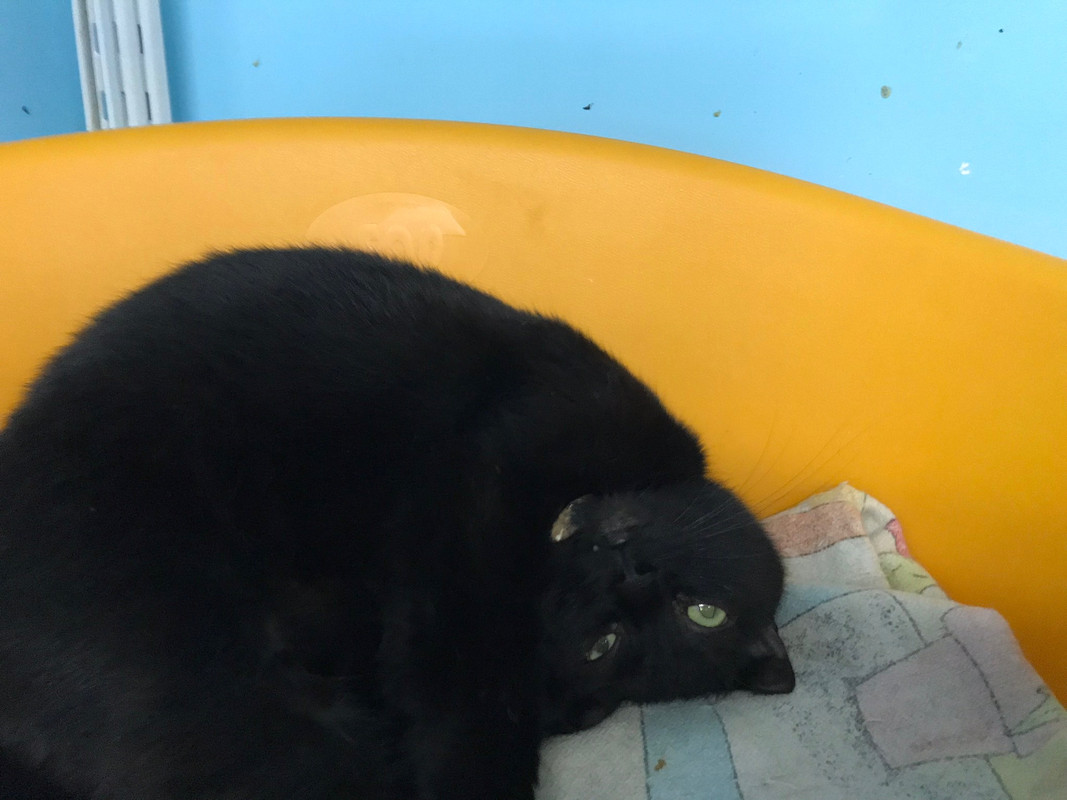 9FC1B518-C901-4C62-928D-A334F0160730