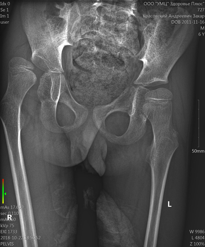 727_Захар_Красовский_22-10-2018 18_56_52_1-1