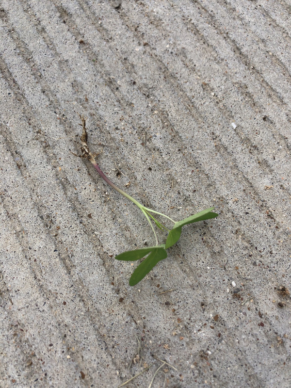 72EEC75B-76A2-4ABE-AF9D-7EA4BA4BDB7A