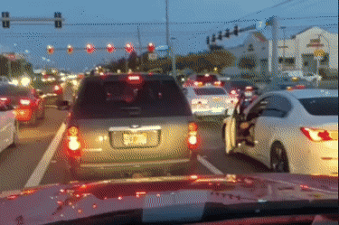 daily-gifdump-3378-10.gif