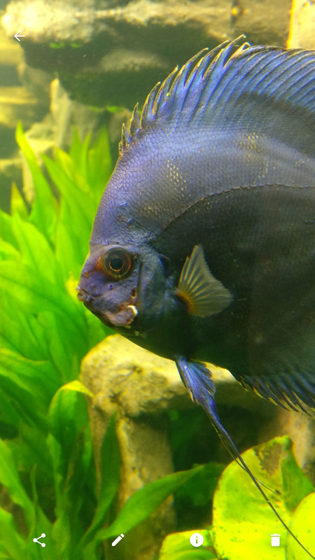 Screenshot_20180225-122418