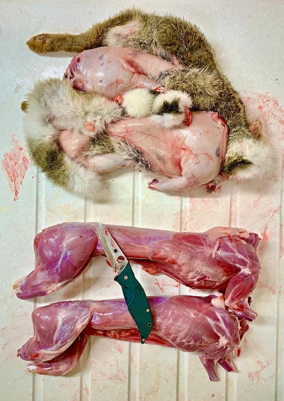 48E8AAC2-D88D-42E7-9700-4F08DE991BB7