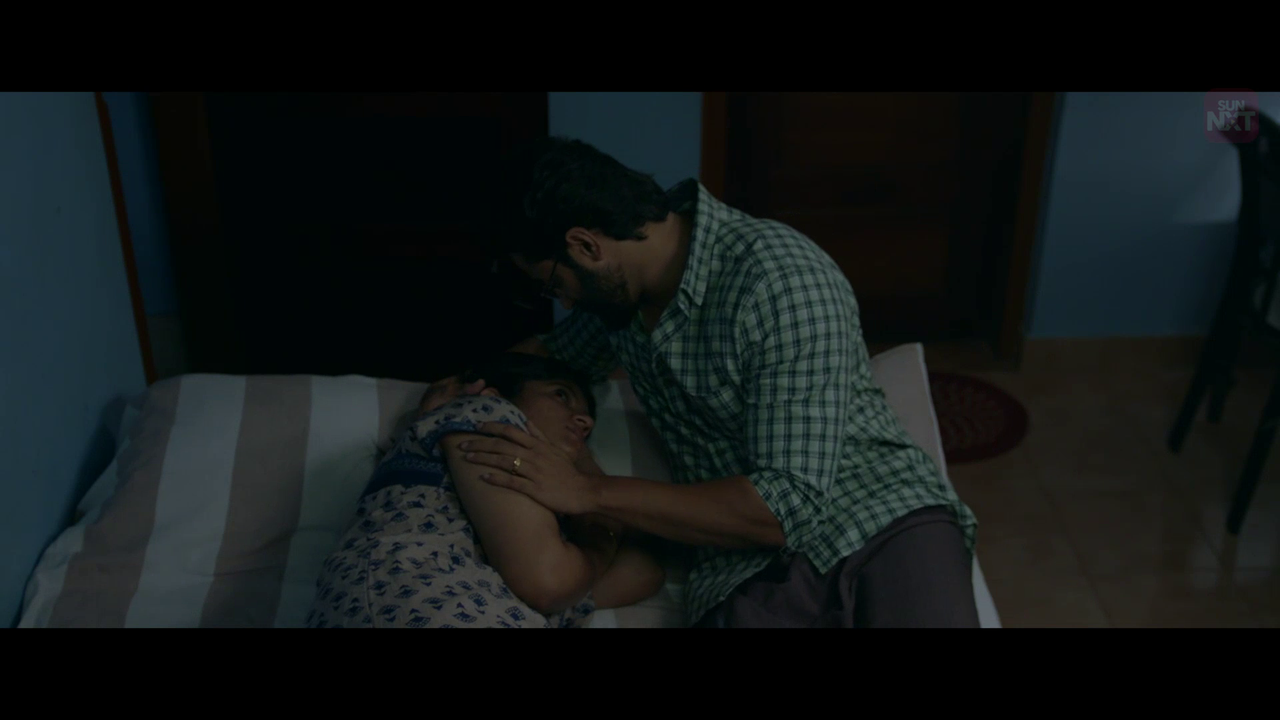 vlcsnap 2026 02 11 15h36m57s378