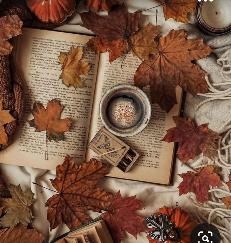 Screenshot_20231015_210813_Pinterest