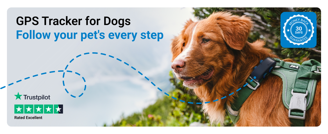 1-Showcase-Full-Image-with-Optional-Text