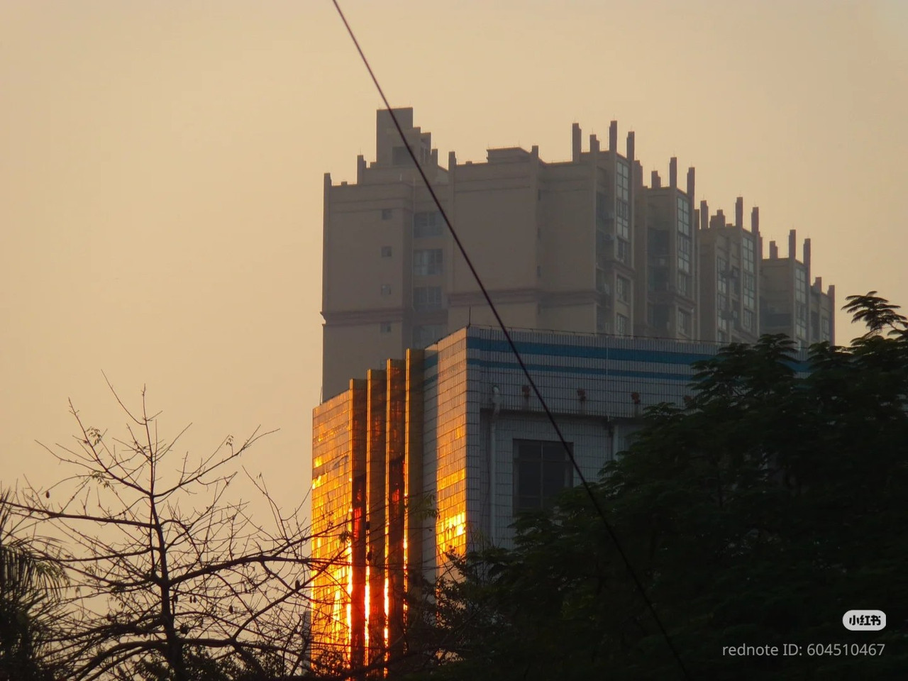 photo 10 2026 01 10 15 44 24