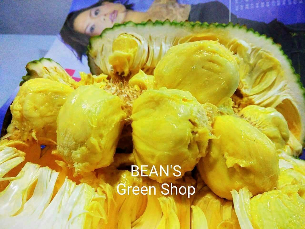 FB_IMG_1489477982225