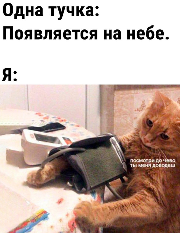 Посмеялся сам - поделись с другом!!!