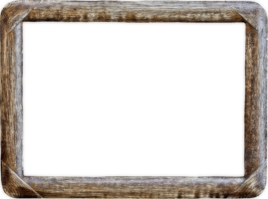 Into The Jungle Frames (11)