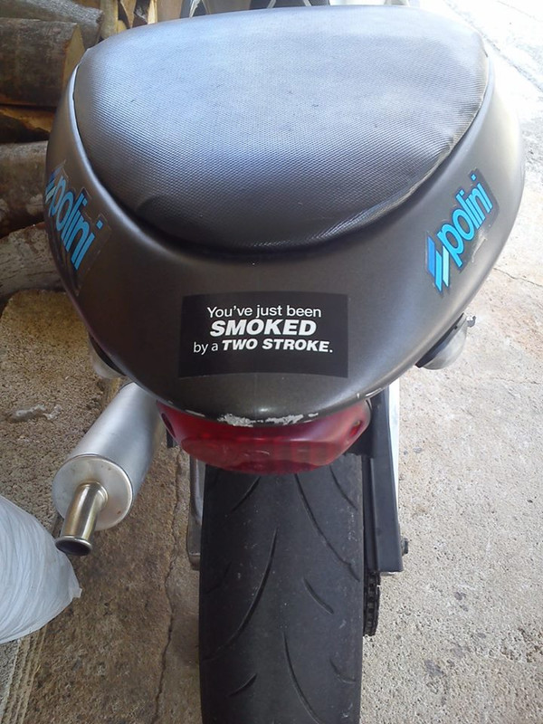 999354_10201146492096732_279975516_n