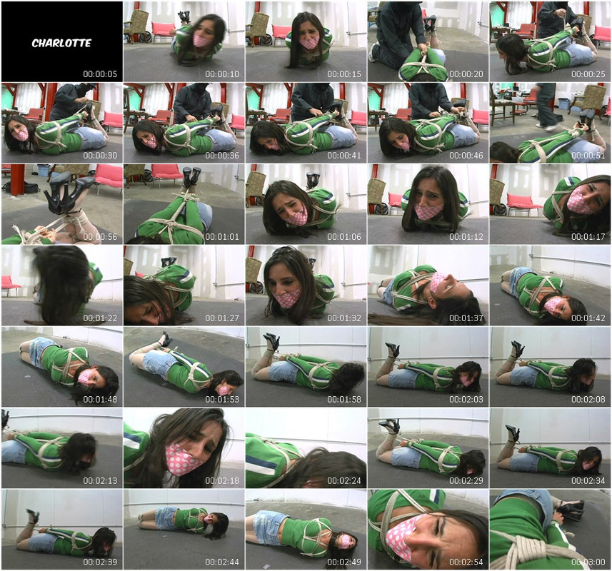 0813BD.wmv