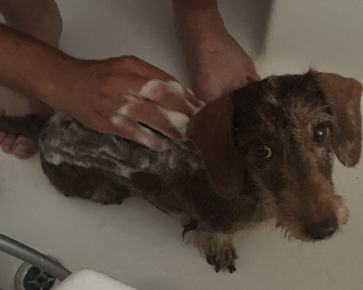 [Image: 540-F678-B-8-CE5-46-B1-AA08-D950-E0-A745-E8.jpg]