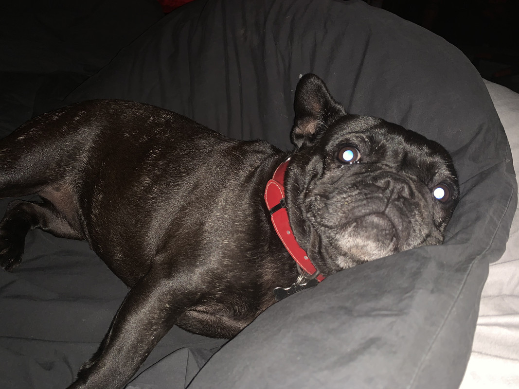 47B6E0CE-C334-4331-962B-16EFF84E5EEB