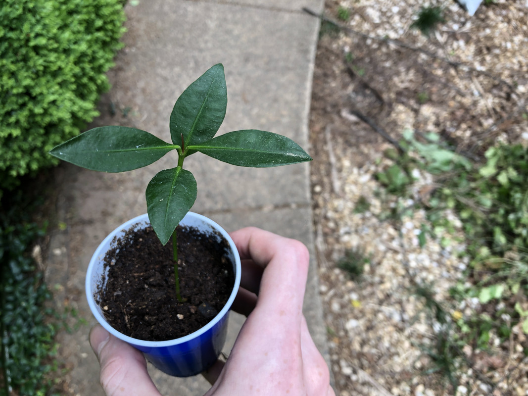 96138478-68C7-44AE-B53B-2DD47B0AE14D