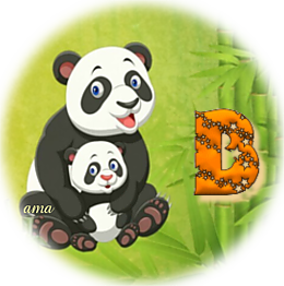 Serie Flia: Madre e Hija, Los Pandas  B