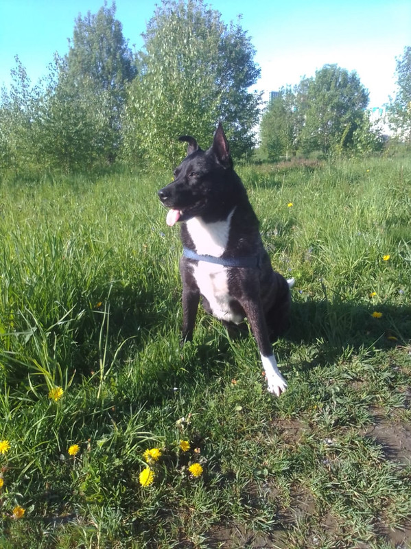 F4F1AB76-612A-4F7C-8FED-84142EF79BD6