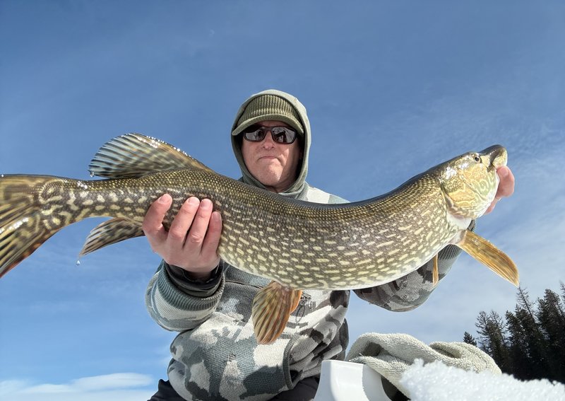 pike