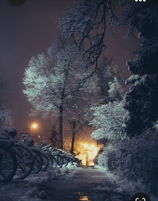 Screenshot_20231024_183950_Pinterest