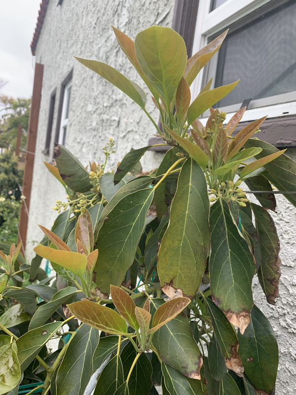 FA14D337-0864-4299-8EBD-E6112E91C7F2