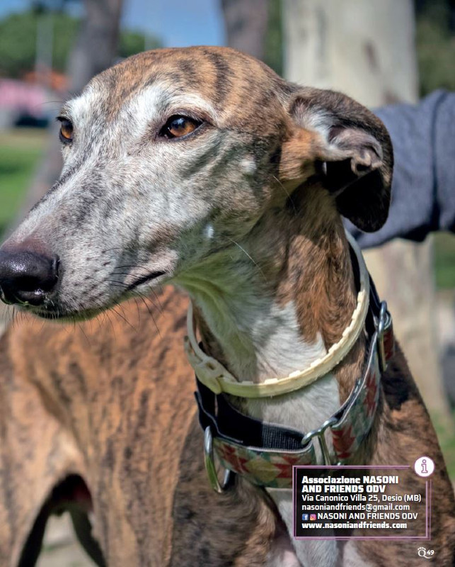 QuattroZampe Ott 2022 (4)