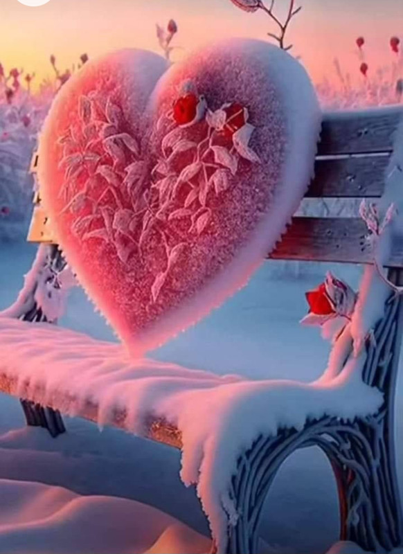 Screenshot_20230126_205550_Chrome