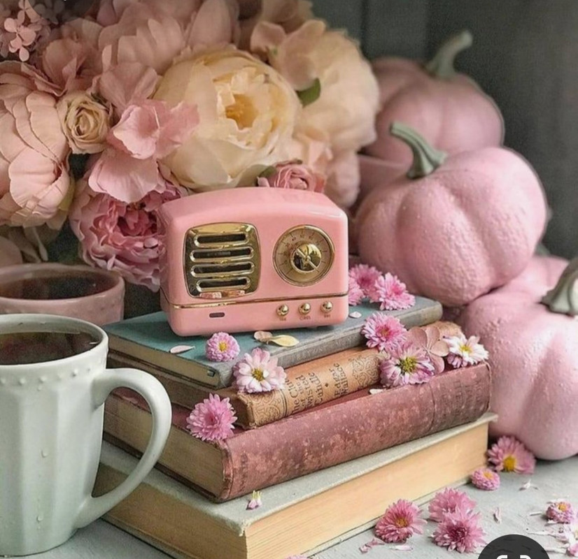 Screenshot_20230309_234924_Pinterest