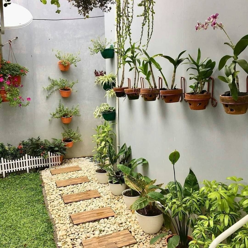 Aneka tanaman hias di taman rumah