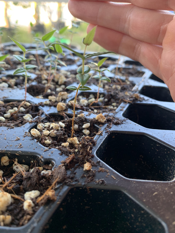 45455D3B-4980-4943-B688-D76DE0B7A549