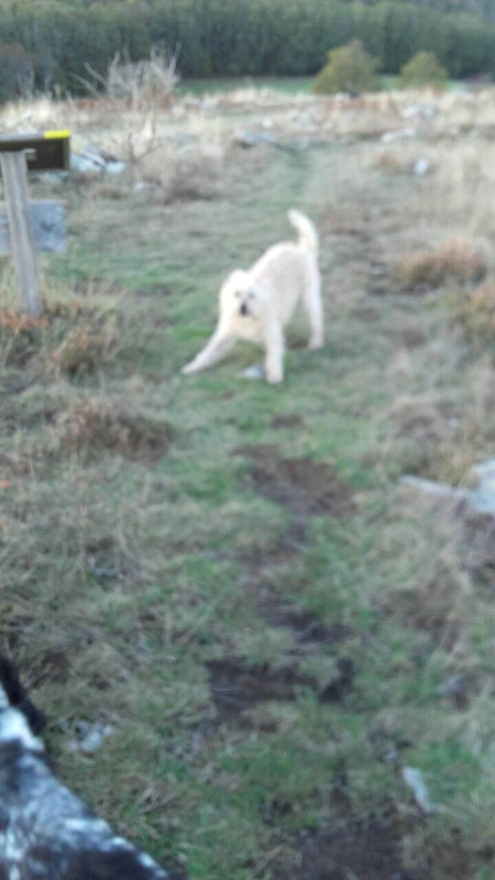 312CC3AB-D1B8-4ADA-B2B4-B6B7BA1F2F9D