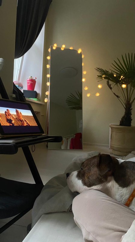 CBBAFDFA-A3F8-4819-9703-C3A537D8ED0B