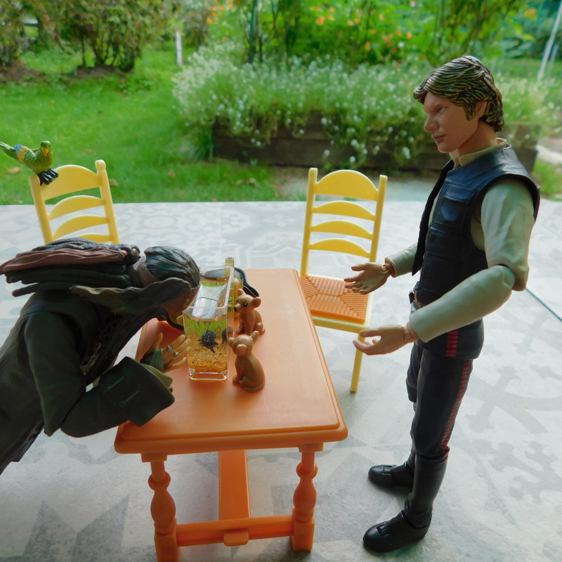 Дачное Маттел к Хелл 2025, Харли и Ко продолжение 204