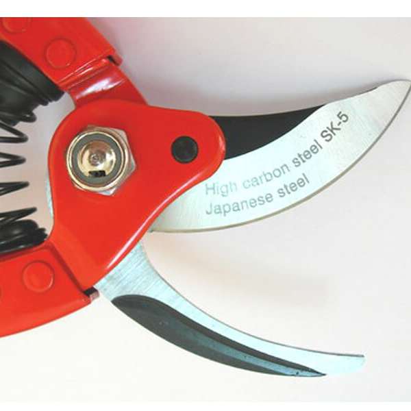 Foarfeca de Gradina 1