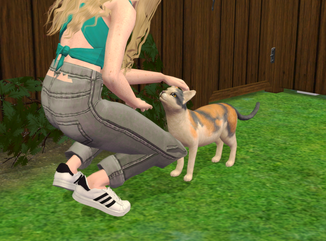 Sims2-EP9-RPC-2024-03-08-16-00-55-07