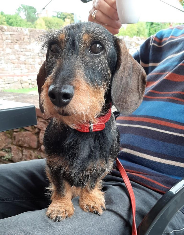 [Image: 08-2020-Colonges.jpg]