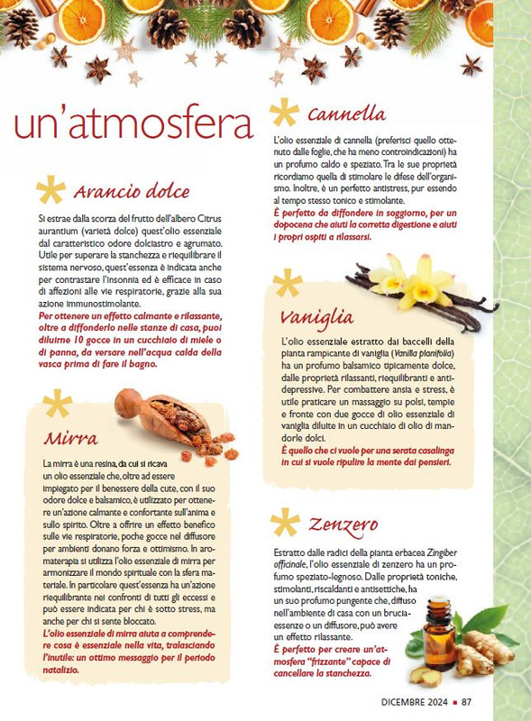 Sal Nat Dic 2024 (12)