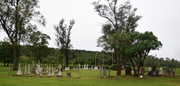 DSC-0008